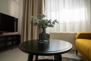 Gallery image of Apartman Alisa Toplice Sveti Martin in Grkavešćak