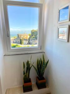 a window in a room with two potted plants at Casa Checca appartamenti per vacanze in Caprarola