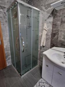 a bathroom with a glass shower and a sink at Sobe Lejla in Vipava