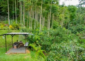 a garden with a grill in the middle of a forest at FINCA CAMPESTRE EL PORVENIR in Quimbaya