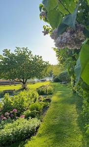 un giardino con piante e fiori in un campo di Ars Vivendi a Strasen