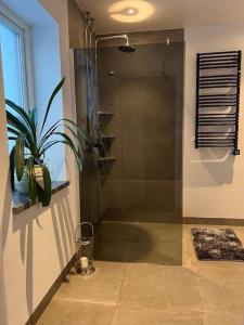 La salle de bains est pourvue d'une douche avec une plante en pot. dans l'établissement Fint hus nära Järvsöbacken, à Järvsö