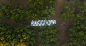 an overhead view of a white building in the middle of trees at Little Eden Homes in Agios Nikolaos
