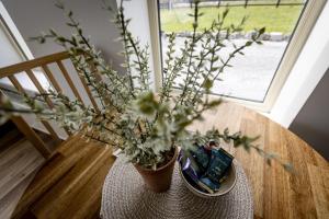 Foto dalla galleria di Coastal View House a Doolin