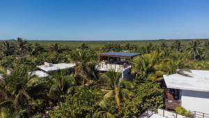an aerial view of a resort with palm trees at Lula Seaside Boutique Hotel in Tulum