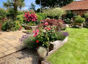 a garden with flowers and plants in a yard at Coastal Hidden Gem - Twin en-suite room with garden in Wells next the Sea +6 photos