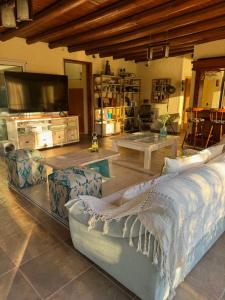 a living room with a couch and a tv at Casa Las Palmas in Ciudad Lujan de Cuyo