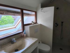 a bathroom with a sink and a toilet and a window at Grande suite en duplex avec 2 chambres, terrasse dans corps de ferme in Villiers-sous-Grez