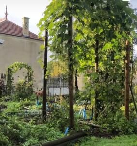 La Brousse的住宿－La Grange de la Brousse，一座花园,在一座建筑前有树木