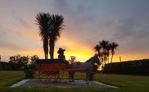 een standbeeld van een persoon die in een paardenkoets rijdt bij Sunrise view in Ballina