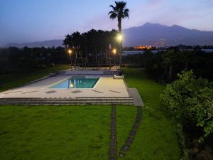 un patio trasero con una piscina y una palmera en Casa Rosario en Riposto