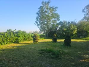 Fotografie z fotogalerie ubytování Relax Place v destinaci Svalöv