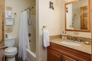 a bathroom with a sink and a toilet and a shower at Majestic Valley Wilderness Lodge in Sutton