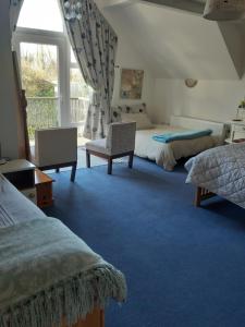 a bedroom with two beds and blue carpet at KYLEARD Ryan in Monasterevin