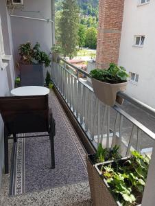 A balcony or terrace at Apartman Radanović
