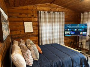 ラボックにあるTack Roomのベッドルーム(青いベッド1台、テレビ付)