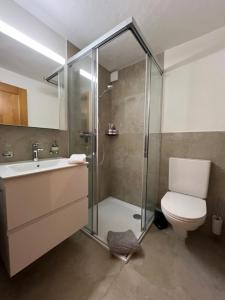 een badkamer met een douche, een toilet en een wastafel bij Chalet Diablerets in Gsteig