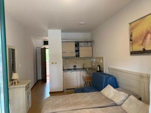 ein Wohnzimmer mit einem Sofa und einer Küche in der Unterkunft Apartments Amber House in Topla