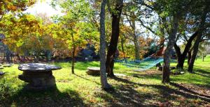 a hammock in the middle of a park with trees at Casa do Retiro in Pedrógão Grande +5 photos