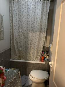 a bathroom with a shower curtain and a toilet at Belgrade Danube sunset in Belgrade