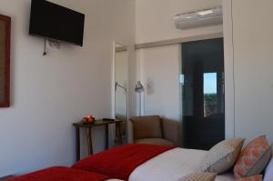 1 dormitorio con 1 cama y TV en la pared en Entre Vinhas & Mar, en Óbidos