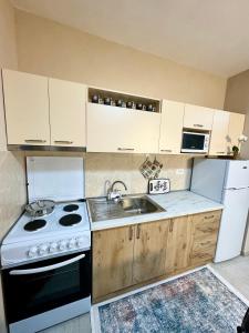 a kitchen with a white stove and a sink at Shkodra Guest House in Shkodër