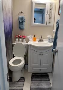 a bathroom with a white toilet and a sink at A-Frame in the Woods 