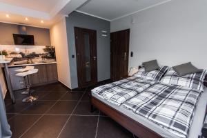 Apartamenty Dawna Wisłaにあるキッチンまたは簡易キッチン