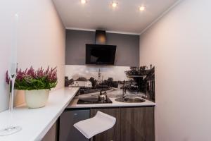 Apartamenty Dawna Wisłaにあるキッチンまたは簡易キッチン