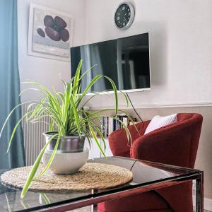 TV a/nebo společenská místnost v ubytování Mont Joly Gîte