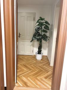 Φωτογραφία από το άλμπουμ του NewAPT next to Wenceslas Square στην Πράγα