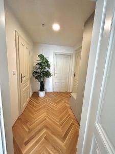 Φωτογραφία από το άλμπουμ του NewAPT next to Wenceslas Square στην Πράγα