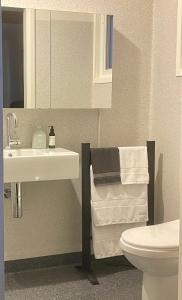 Koupelna v ubytování Spacious Apartment - Warm and Welcoming in Lindisfarne, 8 min from CBD