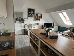TV a/nebo společenská místnost v ubytování Duplex cocoooning
