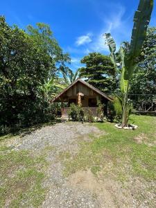 une petite maison avec un palmier en face dans l'établissement Ballena Oasis Homes (Chalets con AC), à Uvita