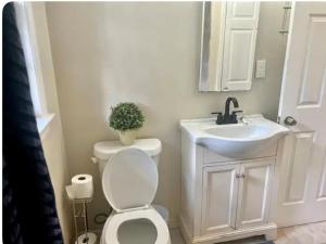 a bathroom with a white toilet and a sink at Queen Suite - Hot Tub - 10 Mins to Downtown Room 2 in Atlanta