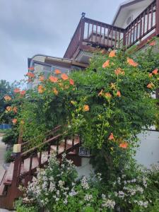 Un montón de flores están creciendo en un balcón en Ganghwa Sweet House Pension, en Incheon