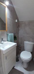 a bathroom with a white toilet and a sink at LA MARCELINO in Patagones +28 photos