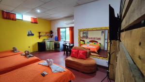 Ein Zimmer mit 2 Betten, einer Küche und einem Zimmer mit in der Unterkunft Mí oficina in Puerto Ayora