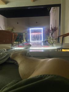 Fotografie z fotogalerie ubytování Hospedaria Flamboyant v destinaci Goiânia