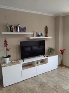 TV a/nebo společenská místnost v ubytování Apartamento en la Ciudad de las Artes y las Ciencias