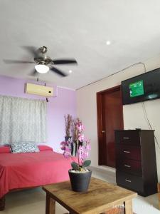 Gacelita Cozumel في كوزوميل: غرفة نوم مع سرير وردي ومروحة سقف