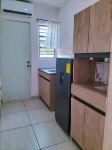 eine kleine Küche mit einem Kühlschrank und einer Theke in der Unterkunft Apartamento Cadereyta 