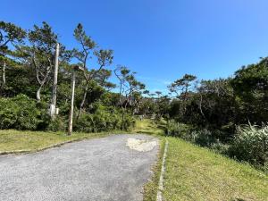 an empty road with trees on the side at Tokashiki Guest House in Tokashiki