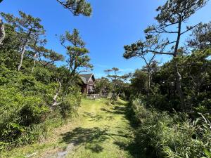 a path through the forest with a house in the background at Tokashiki Guest House in Tokashiki