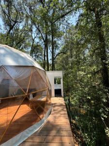 Zahrada ubytování MANDALA CAMP