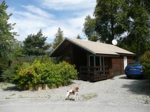 un chien debout devant une cabine dans l'établissement Chalet jolie vue montagne Air vivifiant, à Saint-Léger-les-Mélèzes