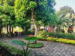 a courtyard with a tree and tables and chairs at Ninh Binh Mountain Side Homestay & Cafe in Ninh Binh
