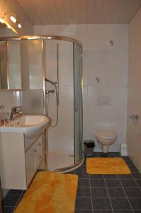 a bathroom with a shower and a sink and a toilet at Studio de Vacances Philipona in Granges