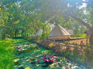 Κήπος έξω από το Binifarm Tropical Retreat +58 φωτογραφίες